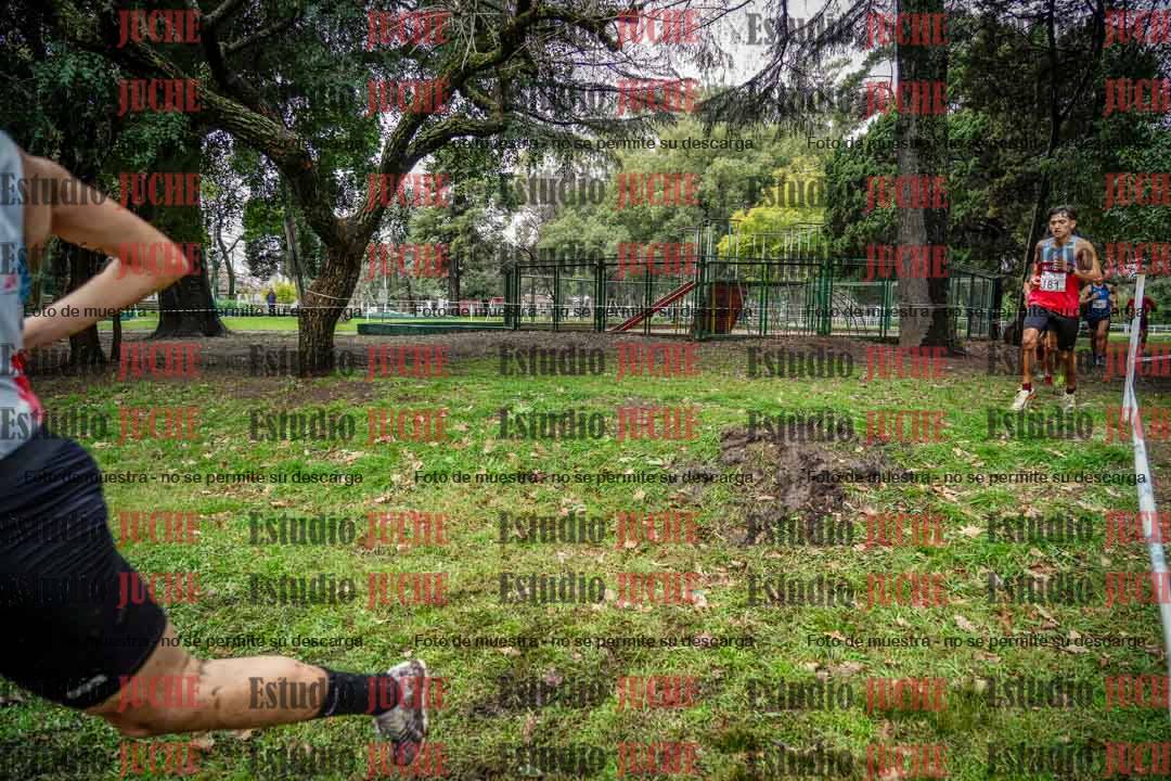 Fotos en el circuito