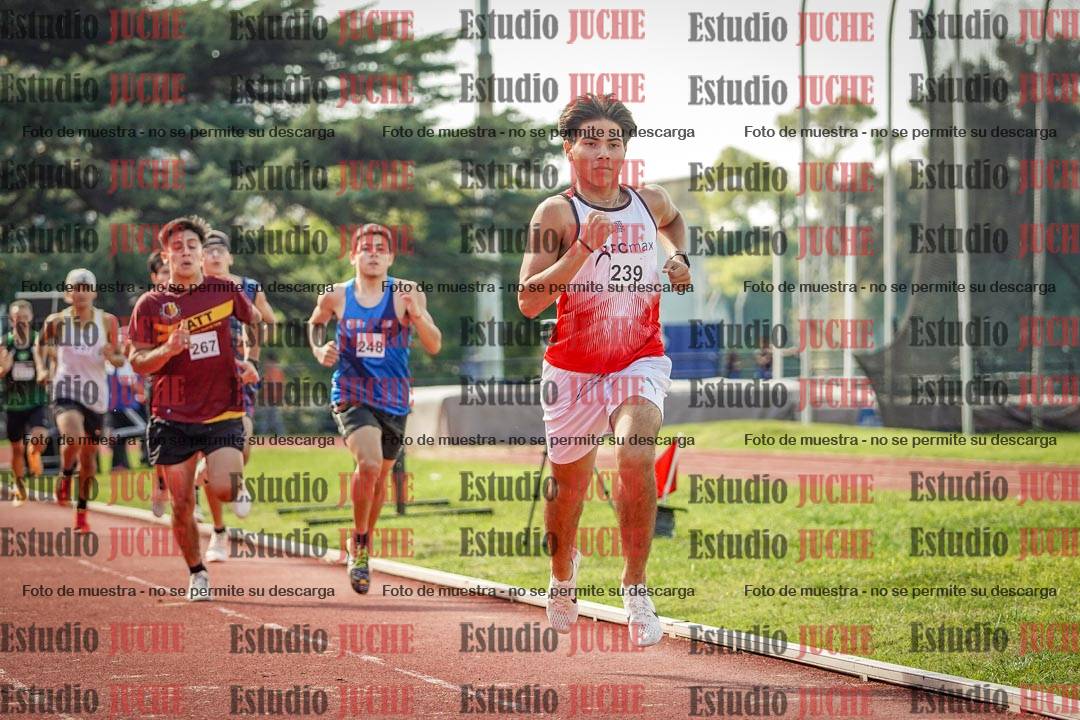 Fotos de los 800 m llanos de varones