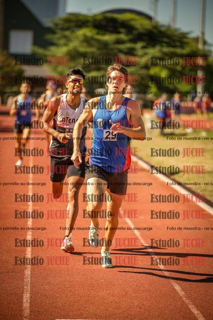 Fotos de los 800 m llanos de varones