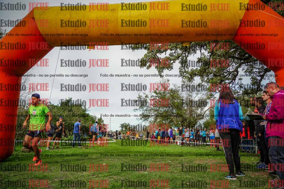 Fotos de la llegada del cross de 8000 m