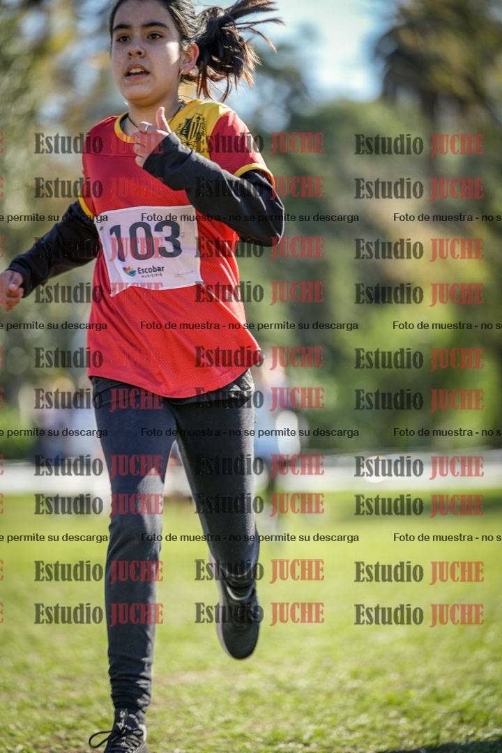 Fotos de la llegada del cross de 1000 m