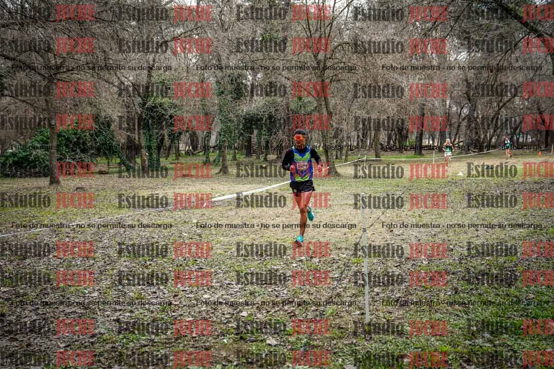Fotos en el circuito