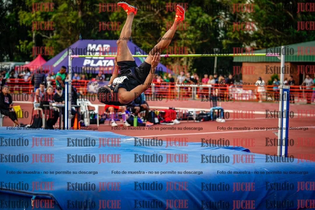 Fotos del salto en alto de varones - deca 4