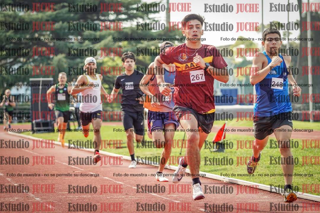 Fotos de los 800 m llanos de varones