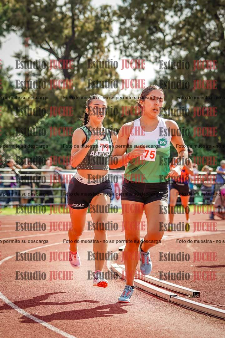 Fotos de los 800 m llanos de mujeres