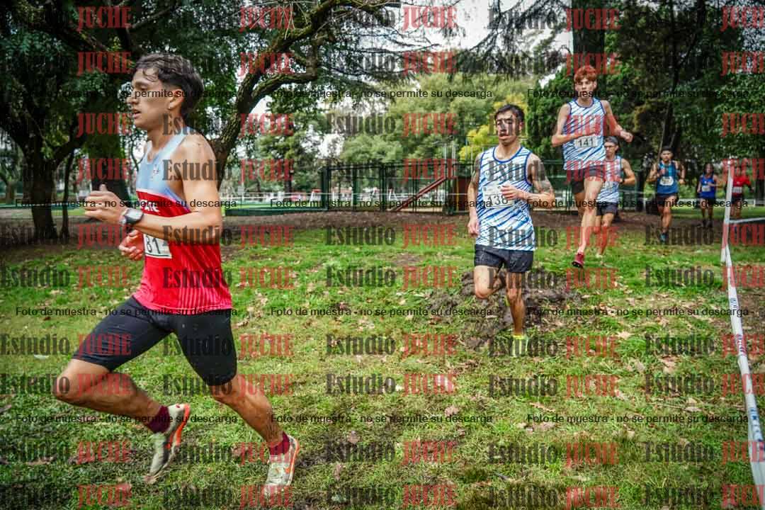 Fotos en el circuito