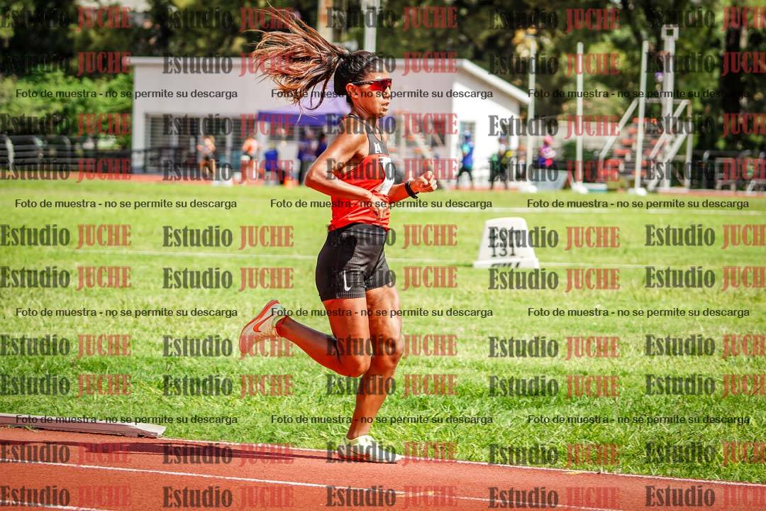 Fotos de los 5000 m llanos