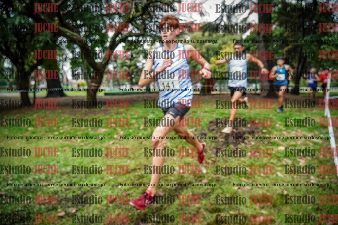 Fotos en el circuito