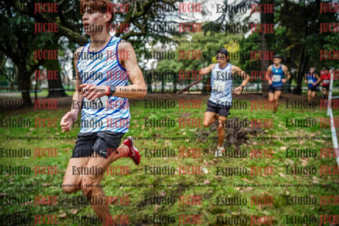 Fotos en el circuito