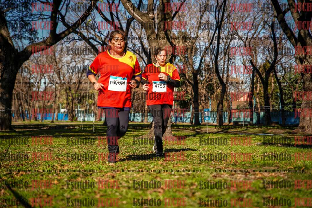 Fotos en el circuito