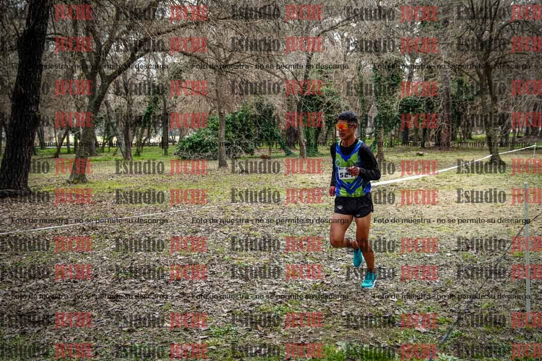Fotos en el circuito