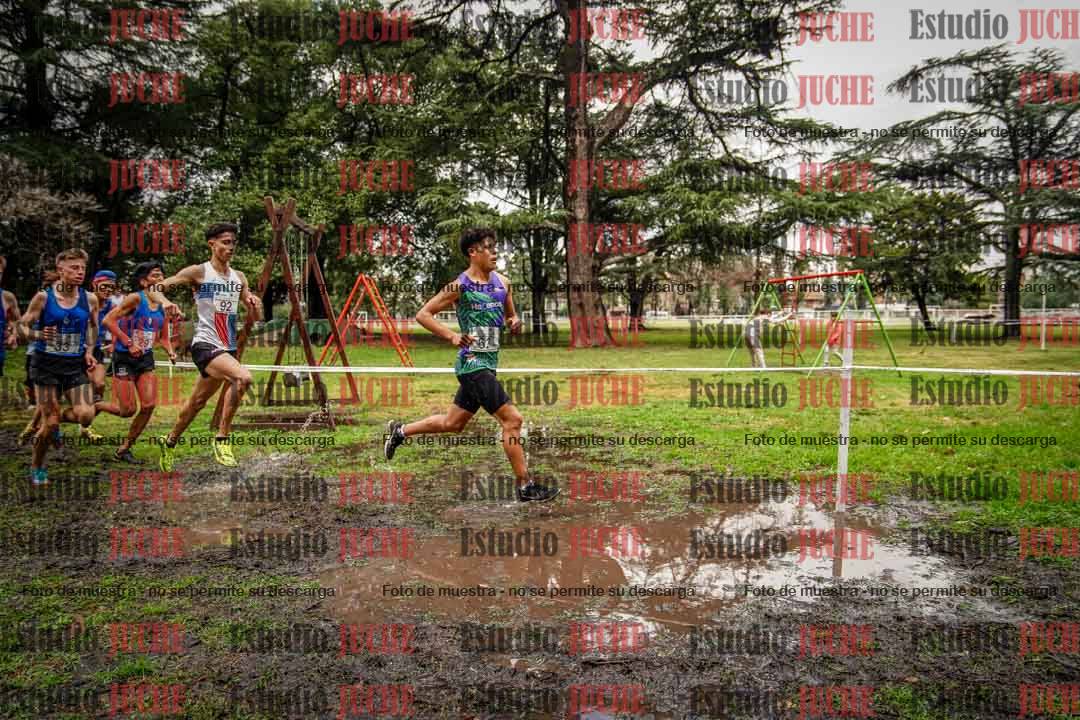 Fotos en el circuito