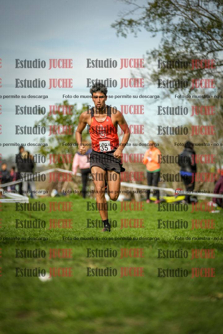 Fotos de la llegada del cross de 8000 m