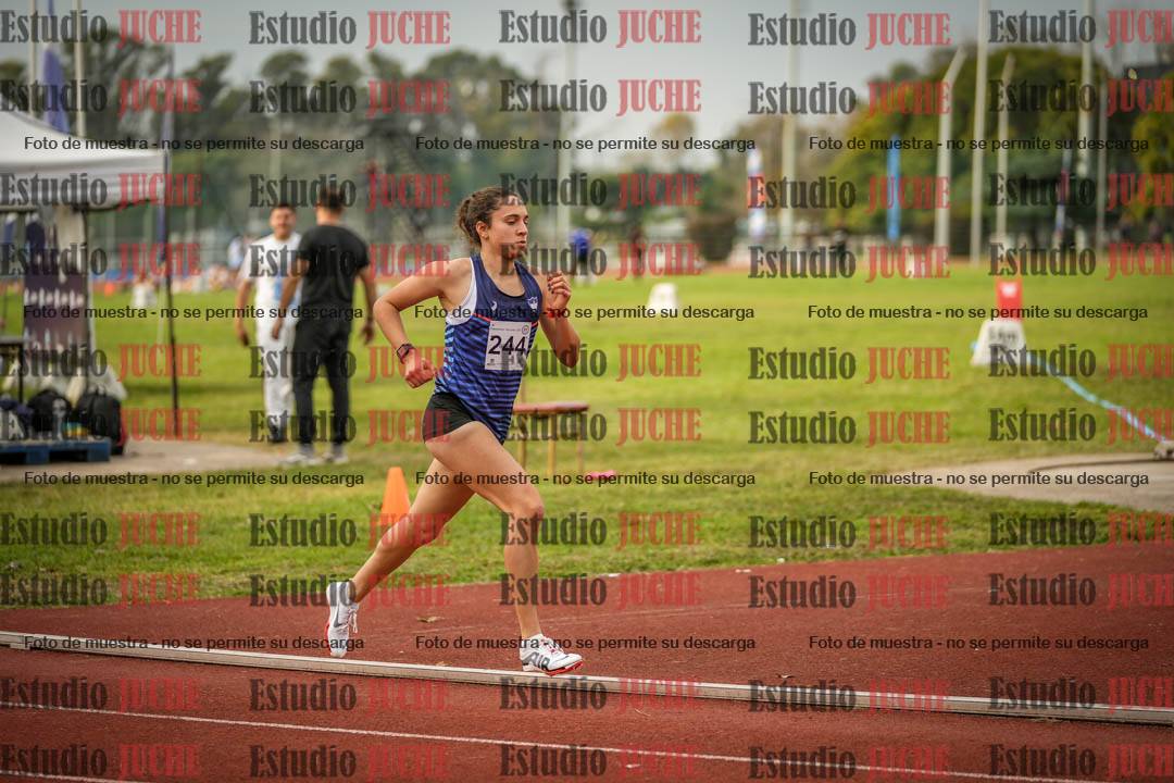 Fotos de los 1500 m llanos de mujeres