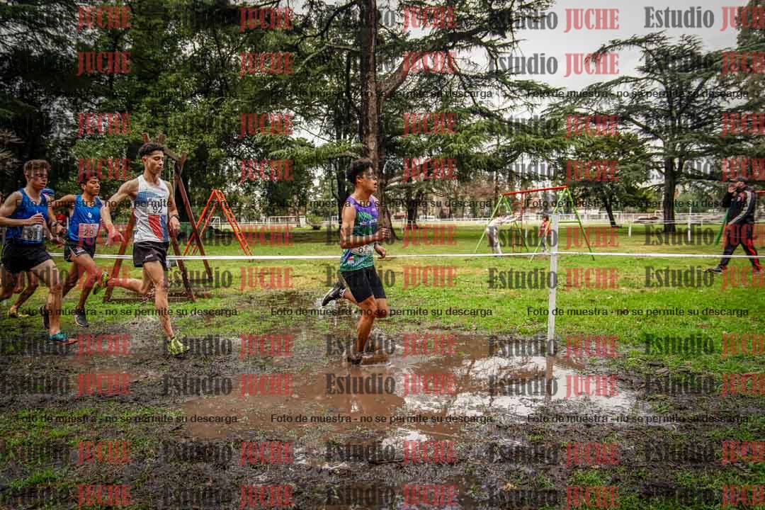Fotos en el circuito