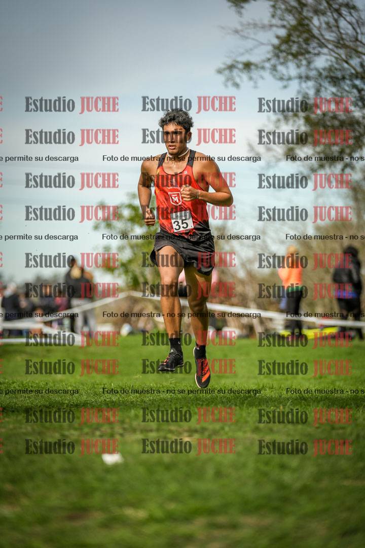 Fotos de la llegada del cross de 8000 m