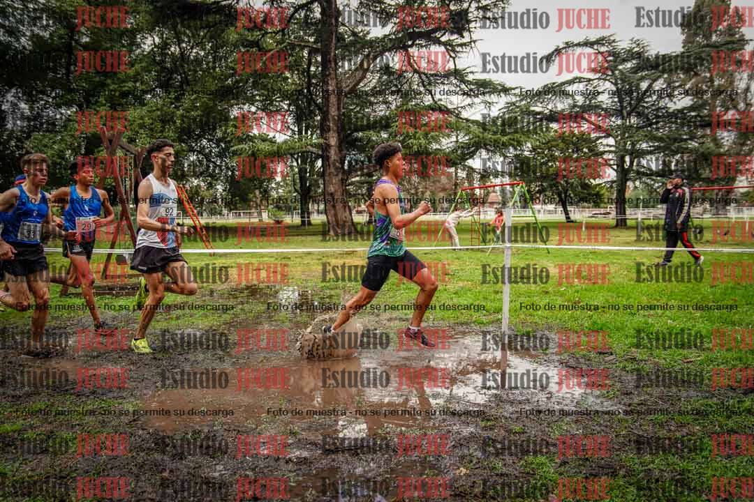 Fotos en el circuito