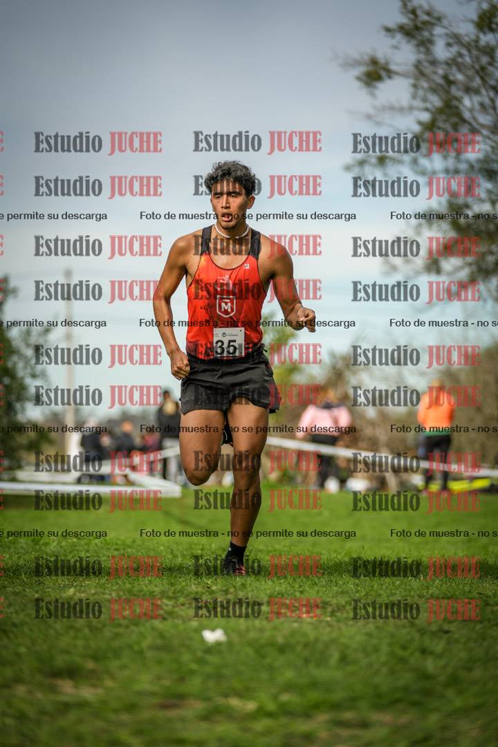 Fotos de la llegada del cross de 8000 m