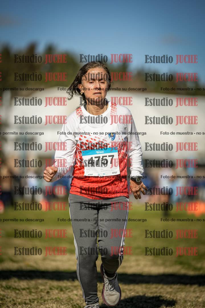 Fotos de las llegadas