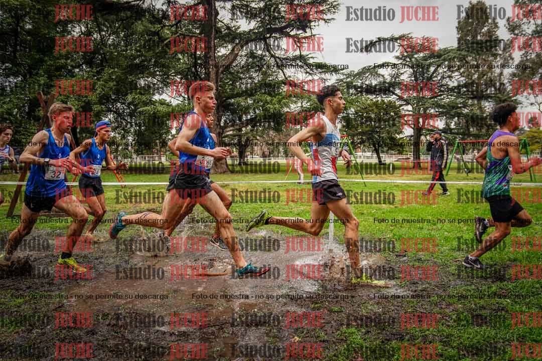 Fotos en el circuito
