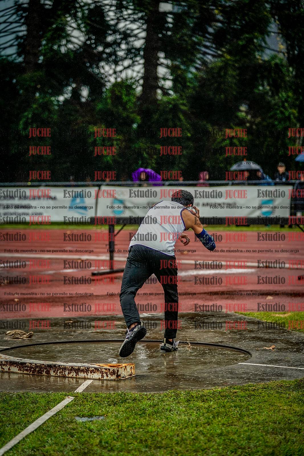Fotos del lanzamiento de bala de varones - decatlón 3