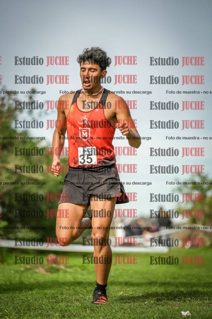 Fotos de la llegada del cross de 8000 m