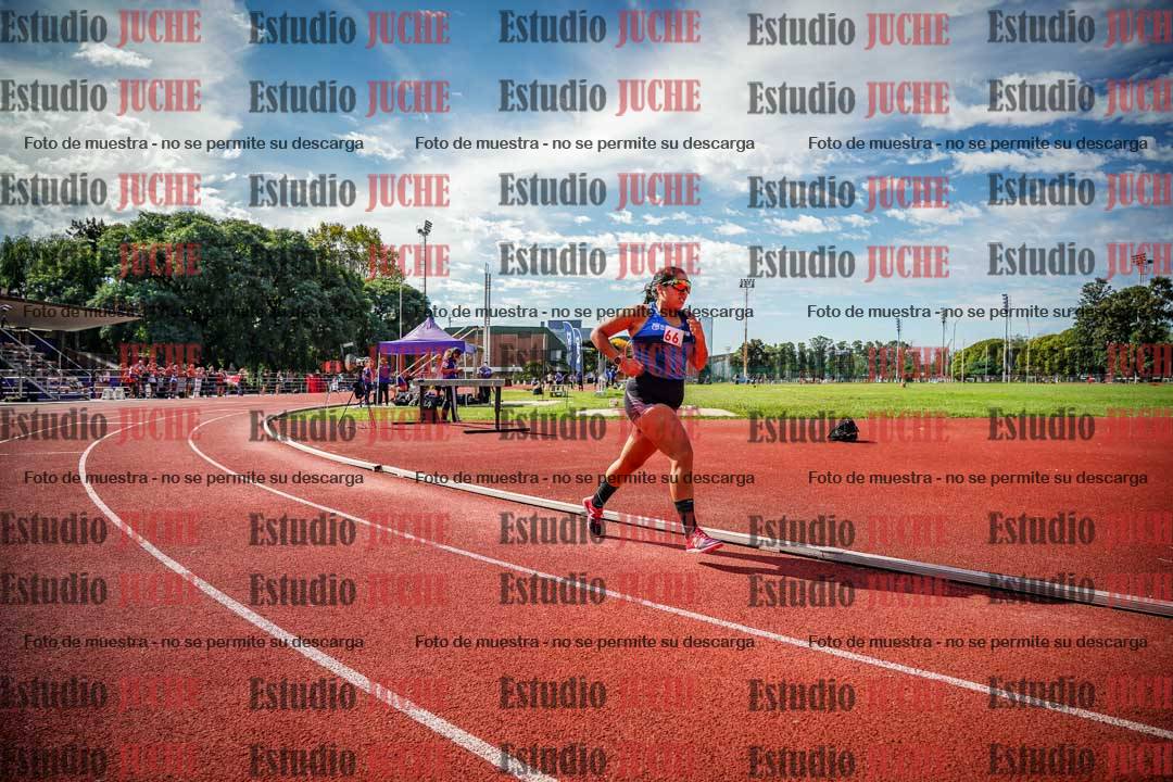 Fotos de los 800 m llanos de mujeres
