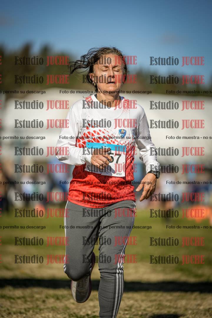 Fotos de las llegadas