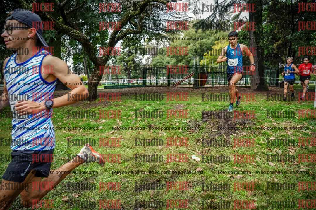 Fotos en el circuito