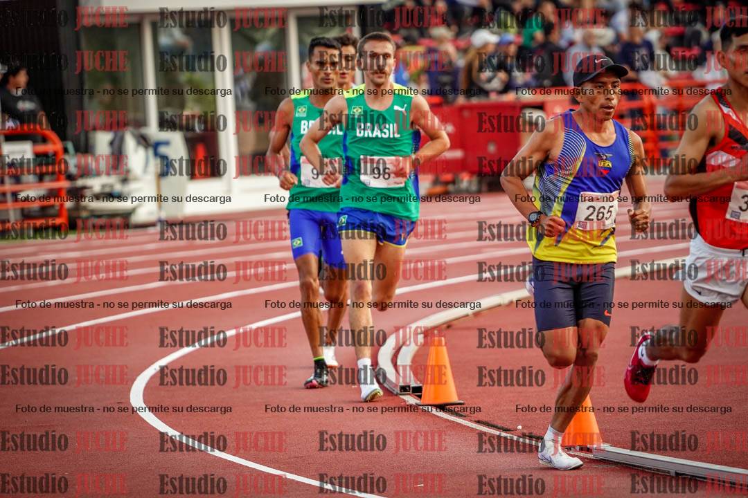 Fotos de los 10.000 m llanos de varones