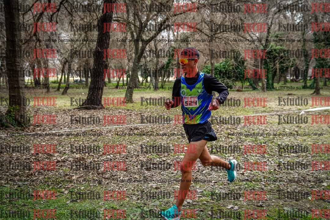 Fotos en el circuito