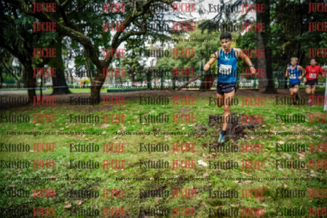 Fotos en el circuito