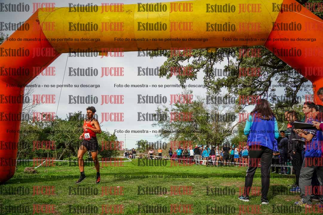 Fotos de la llegada del cross de 8000 m