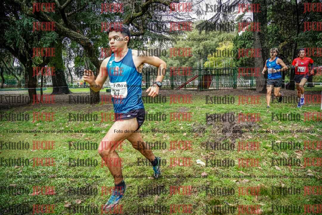 Fotos en el circuito