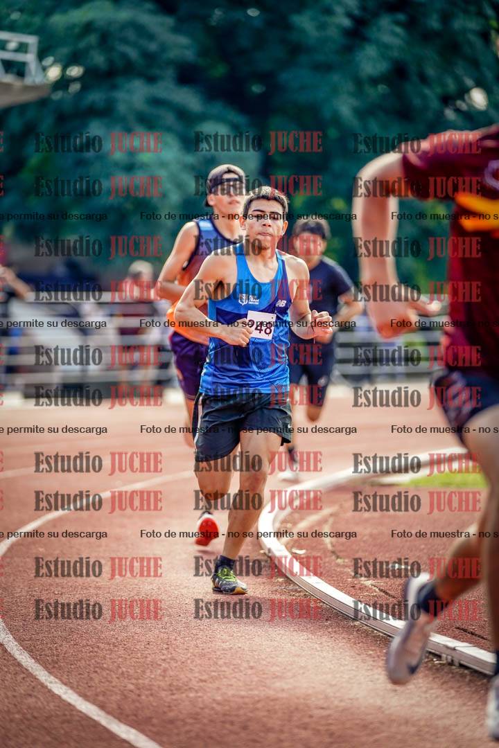 Fotos de los 800 m llanos de varones