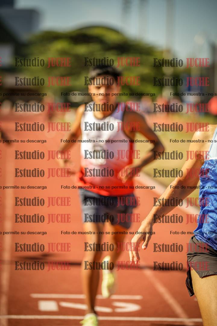 Fotos de los 800 m llanos de varones