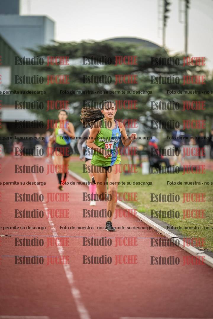 Fotos de los 1500 m llanos de mujeres