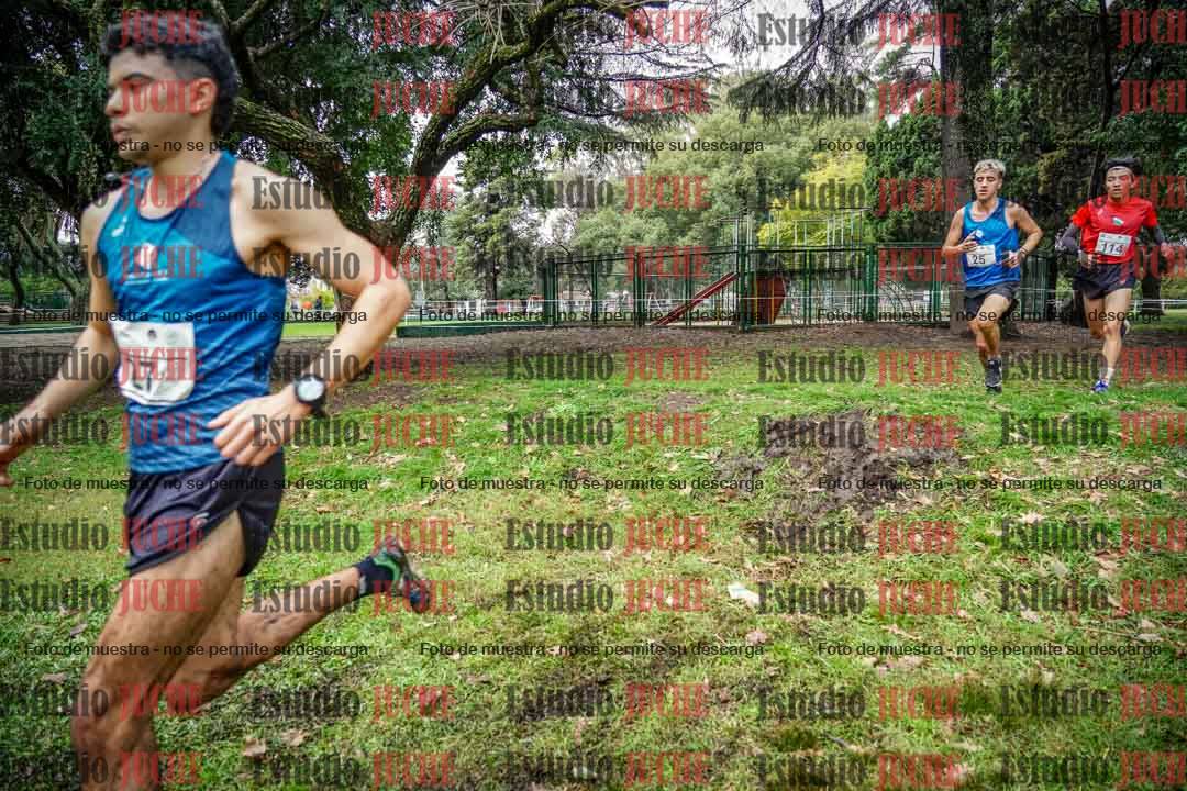 Fotos en el circuito
