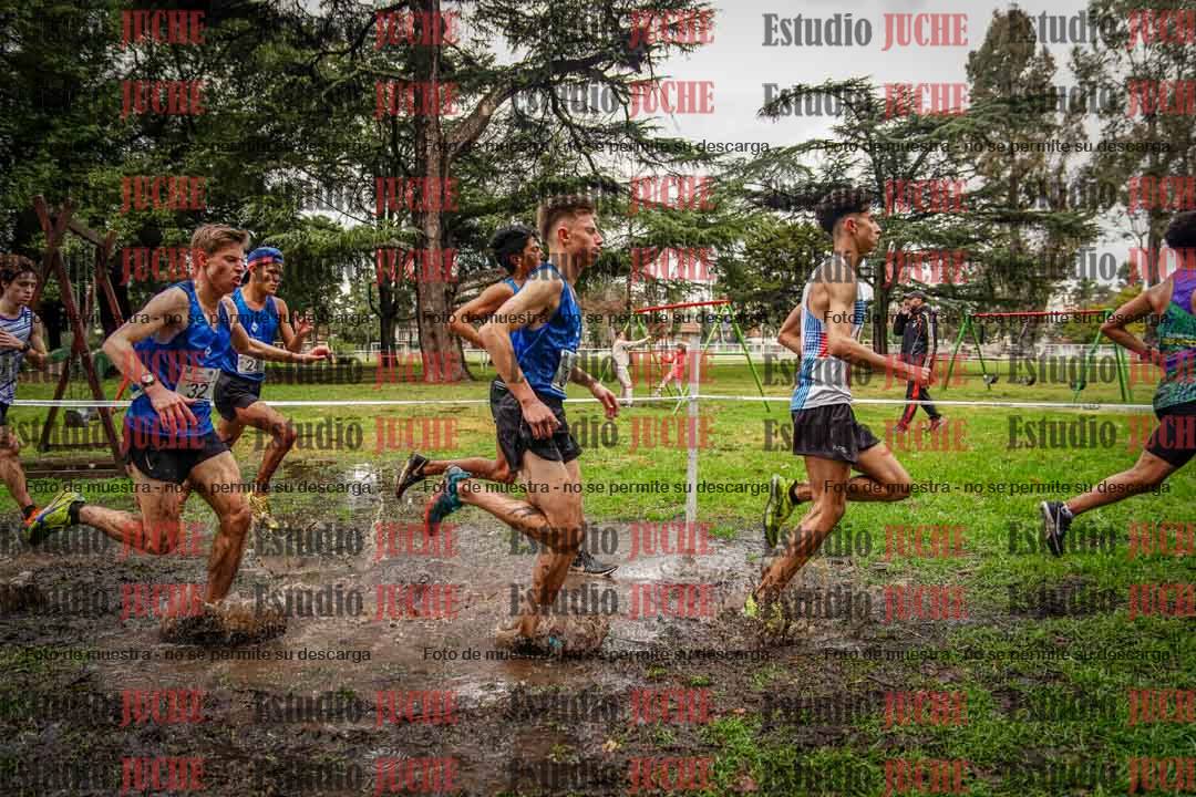 Fotos en el circuito