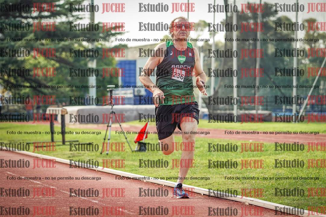 Fotos de los 800 m llanos de varones