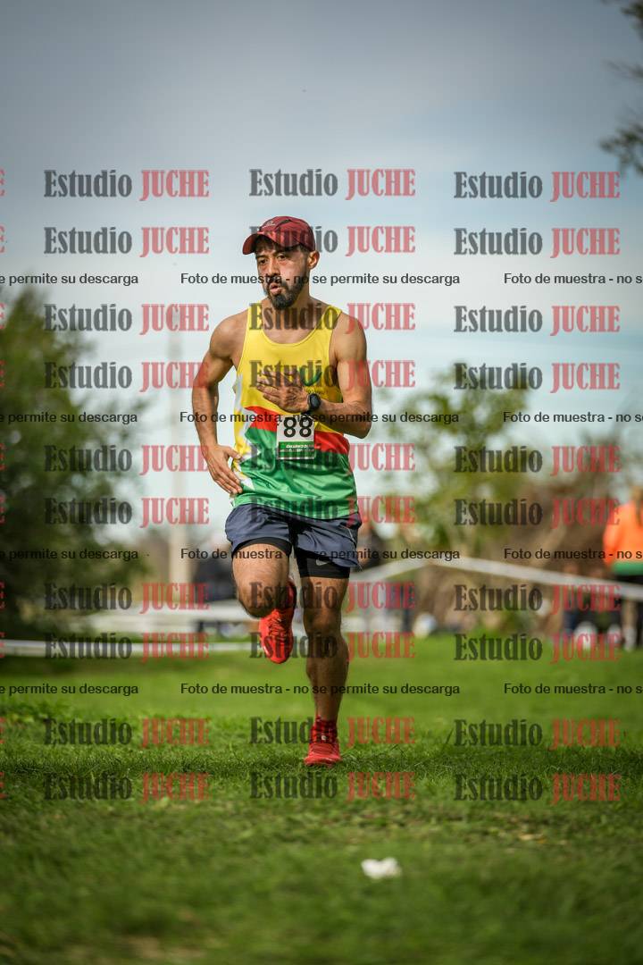 Fotos de la llegada del cross de 8000 m