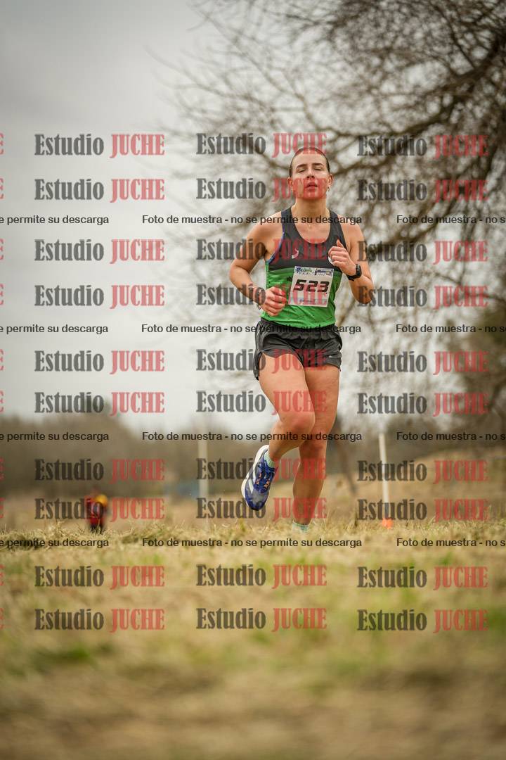 Fotos en el circuito