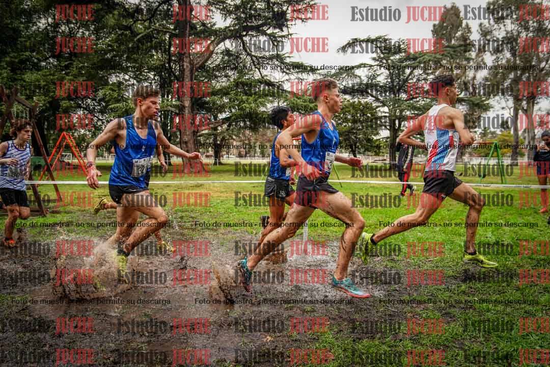 Fotos en el circuito