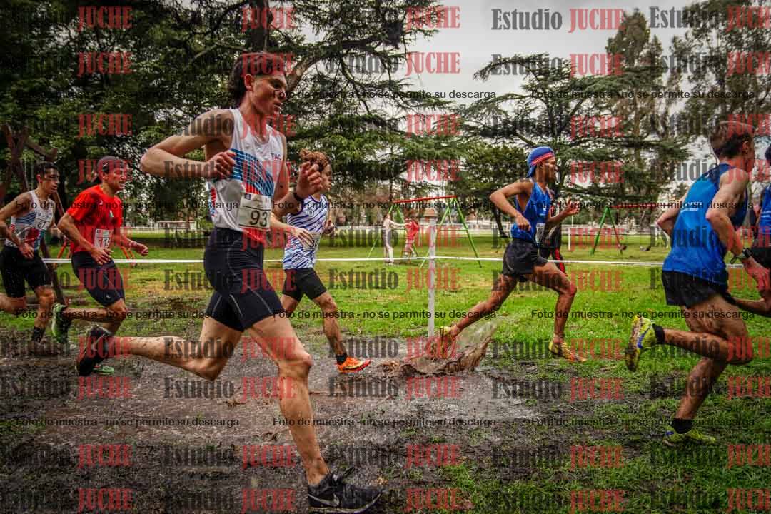 Fotos en el circuito