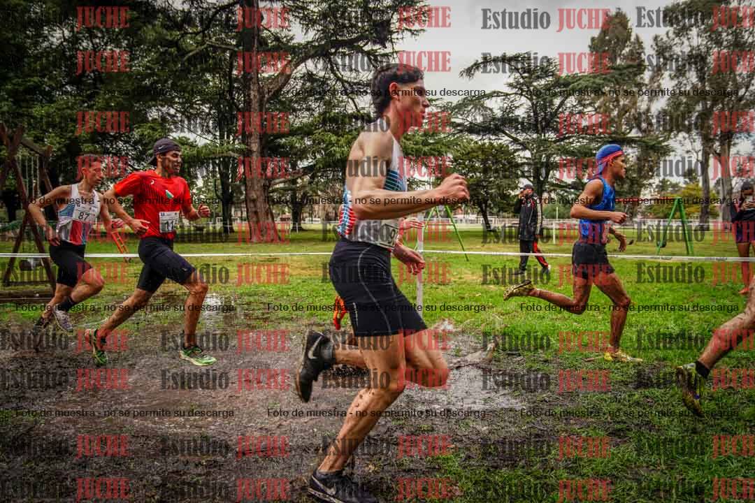 Fotos en el circuito