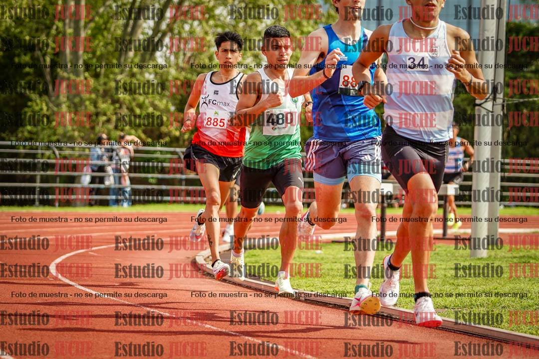 Fotos de los 3000 m llanos de varones