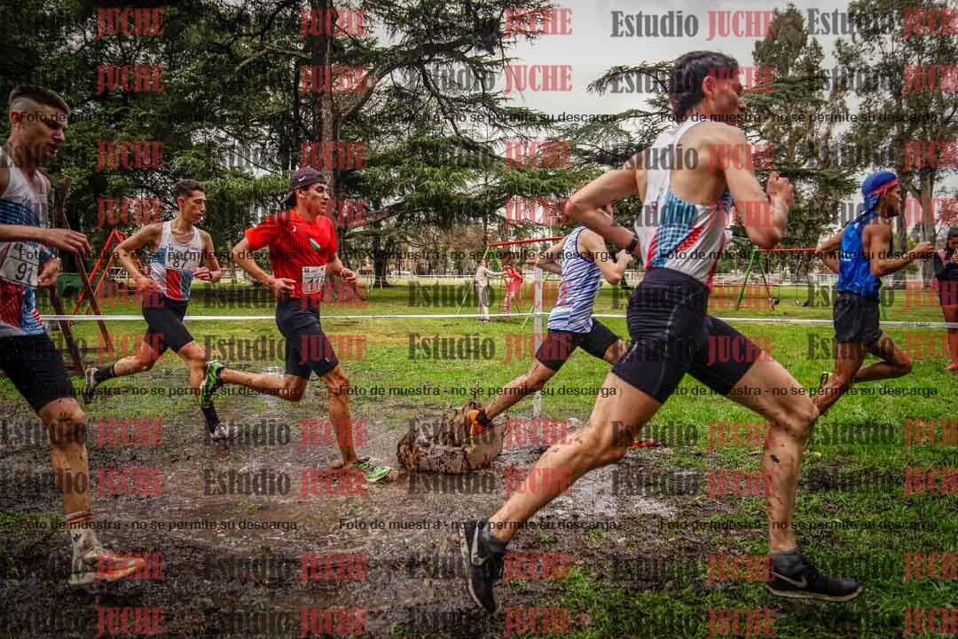 Fotos en el circuito