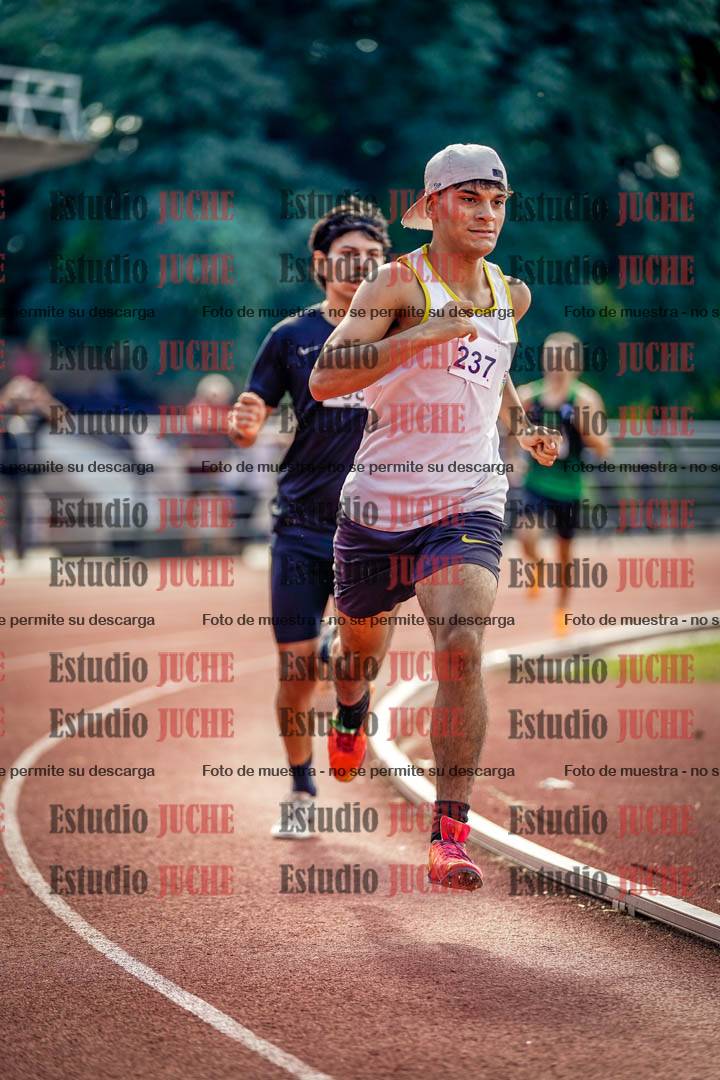 Fotos de los 800 m llanos de varones