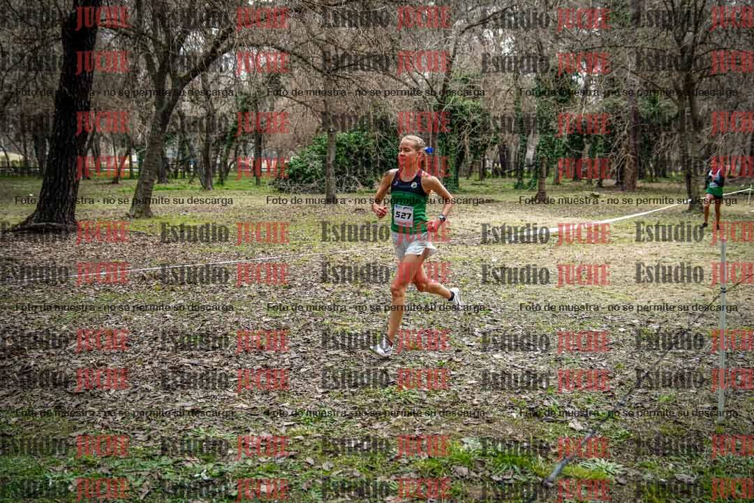 Fotos en el circuito