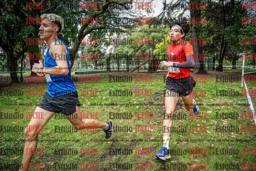 Fotos en el circuito